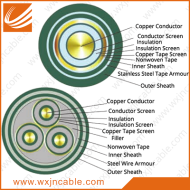 21-35KV YJV22-Copper Conductor XLPE Insulated PVC Sheathed Steel Tape Armoured Power Cable 01