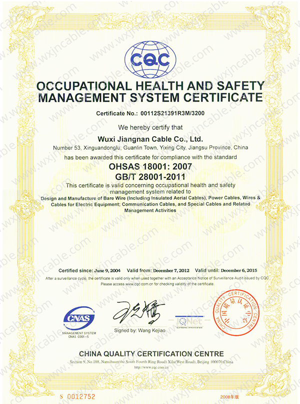 Certificate ISO18001 Of CQC