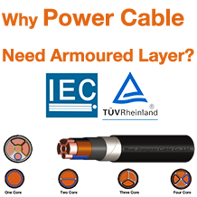 Armored Layer Power Cable
