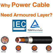 Armored Layer Power Cable Armored Layer Power Cable