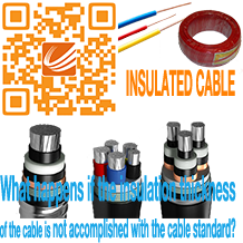 XLPE Or PVC Insulated Cable